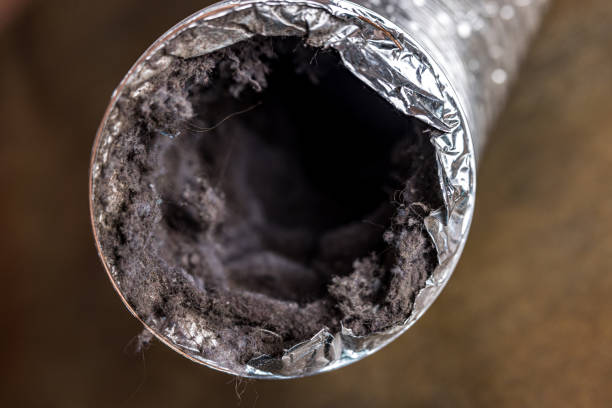 Best Professional Duct Cleaning Services  in Pacifi, CA